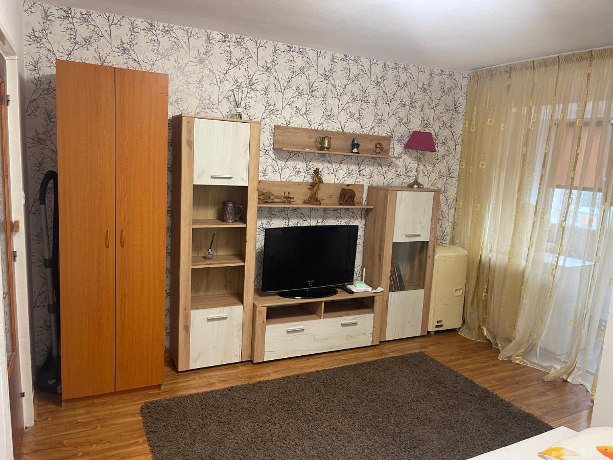 Garsoniera -Single Room 91 Bucureşti Exterior foto